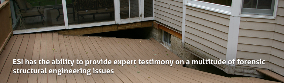 Expert Testimony