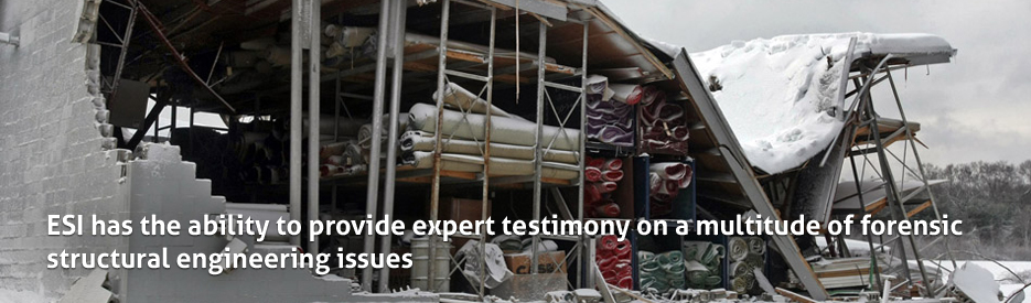 Expert Testimony