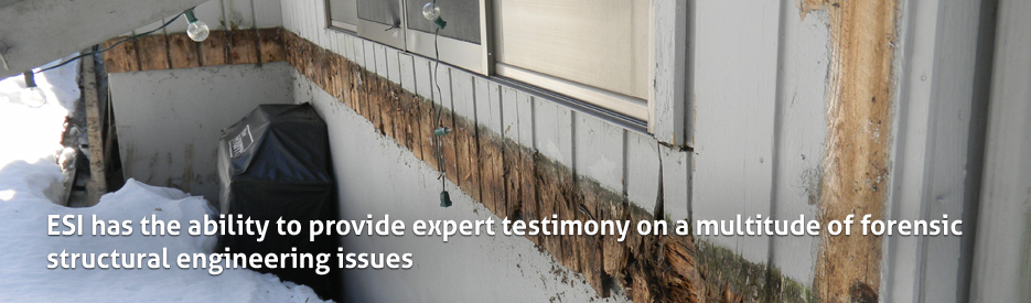 Expert Testimony